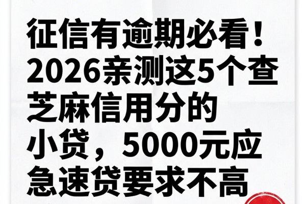 征信有逾期必看！2026亲测这5个查芝麻信用分的小贷，5000元应急速贷要求不高